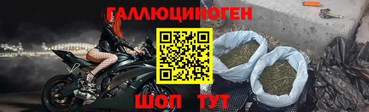 Псилоцибиновые грибы Cubensis  Вход с VPN  Набережные Челны 